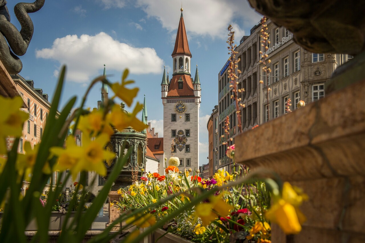 Matthias schroder CekjvdECbXI unsplash